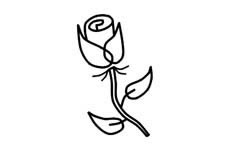 一朵美丽娇艳的玫瑰花植物简笔画步骤图片大全