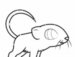 如何画老鼠 老鼠简笔画步骤图