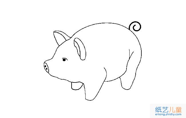 小肥猪动物简笔画步骤图片大全
