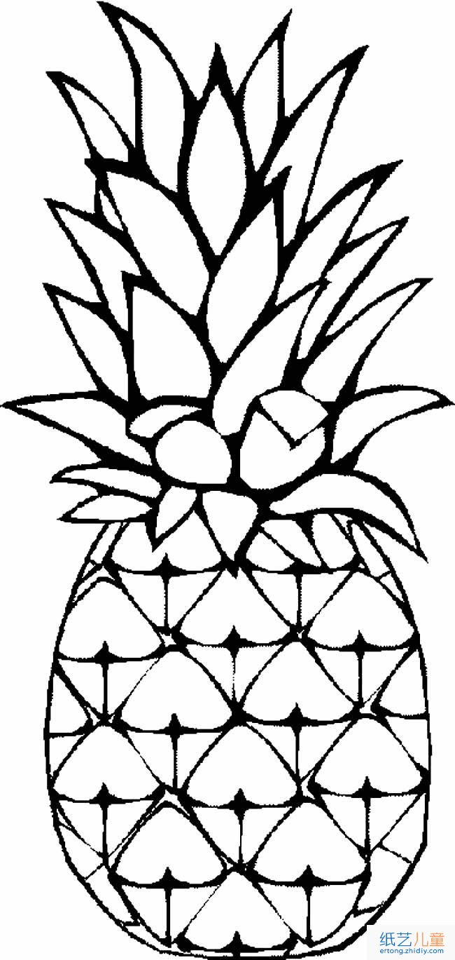 菠萝水果简笔画步骤图片大全五