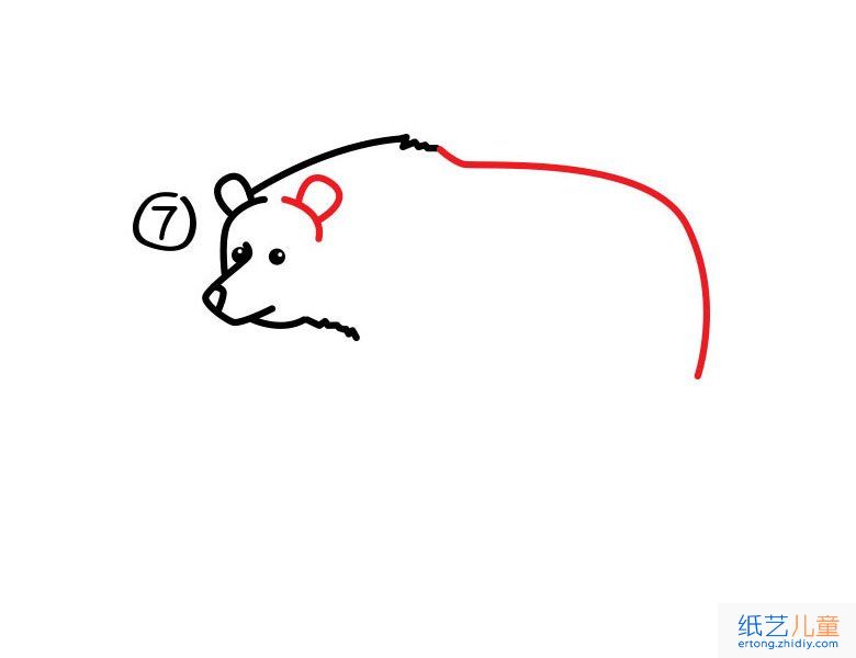 如何画一只灰熊 灰熊简笔画步骤图