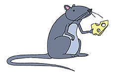 跟着图片步骤学习偷奶酪的老鼠简笔画