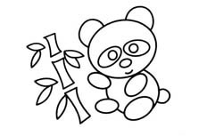 一只抱着竹子胖头胖脑的可爱熊猫动物简笔画步骤图片大全