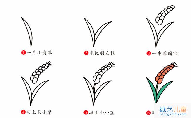 饱满的金黄色麦穗简笔画绘制方式