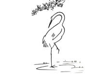 姿势非常优雅的丹顶鹤动物简笔画制作方法