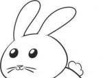 如何画兔子 兔子简笔画步骤图