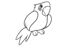 画出会说话的鹦鹉简笔画