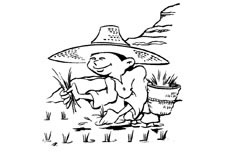 一个正在插秧的勤劳的农民伯伯人物简笔画