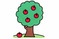 结出大量红色果实的苹果树简笔画步骤图片大全