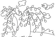 枝繁叶茂的漂亮柳树植物简笔画步骤图片大全