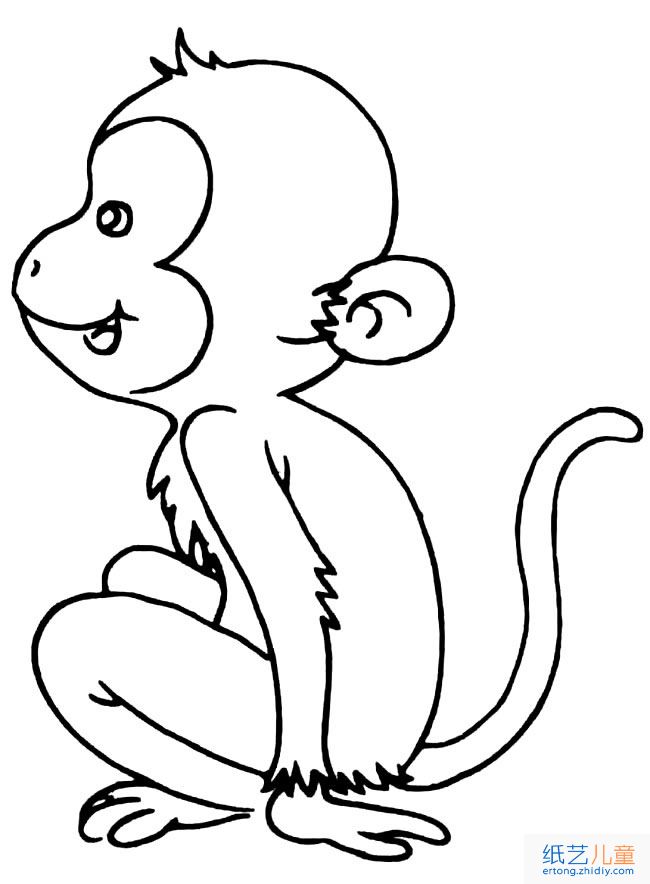 猴子卡通图片动物简笔画步骤图片大全