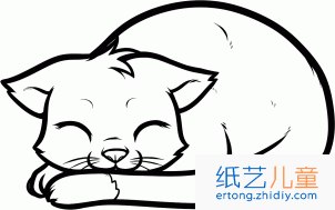 睡着的猫简笔画3张