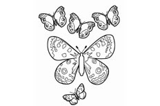 一群自由自在飞舞的蝴蝶简笔画