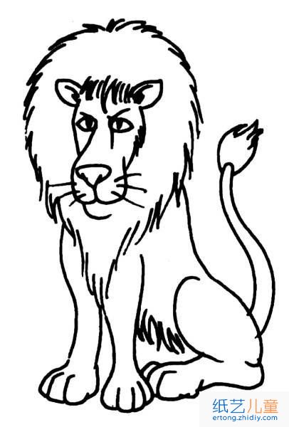 动物狮子简笔画4张