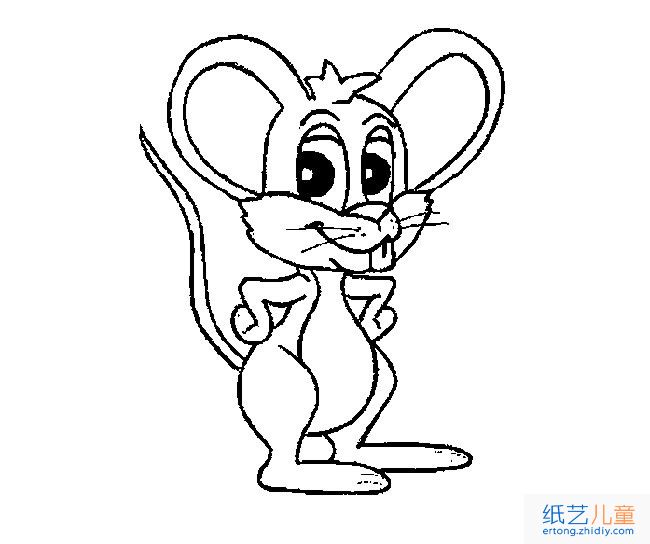 小老鼠动物简笔画步骤图片大全