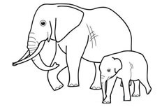 一头大象带着一头小象在外面悠闲散步的简笔画步骤图片大全