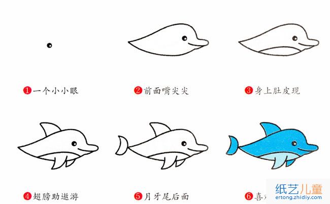 海豚动物简笔画步骤图片大全
