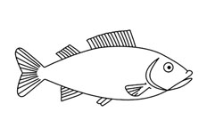 栩栩如生的鱼儿简笔画是怎样绘制的