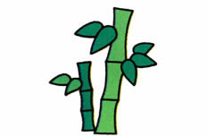 看起来非常翠绿挺拔的竹子植物简笔画步骤图片大全