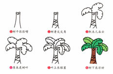 茁壮成长的芭蕉树简笔画