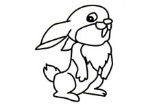 详细描述非常可爱的卡通兔子动物简笔画步骤图片