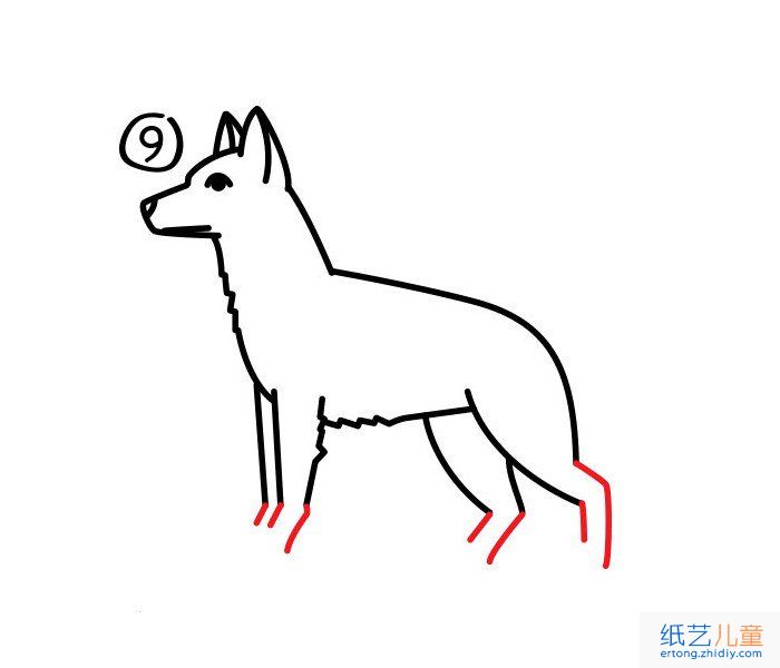 如何学画一只牧羊犬