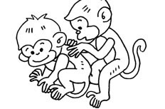 两只正在相互捉虱子的小猴子动物简笔画步骤图片大全