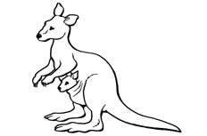一个带着宝宝的充满母性的袋鼠动物简笔画步骤图片大全