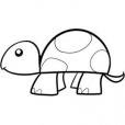 幼儿学画小乌龟（简单）