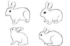 四个不同形态的兔子简笔画