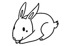 一个很肥的大白兔子简笔画