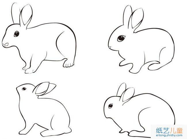 兔子动物简笔画步骤图片大全