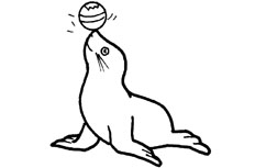 顶着漂亮小球的海豹简笔画