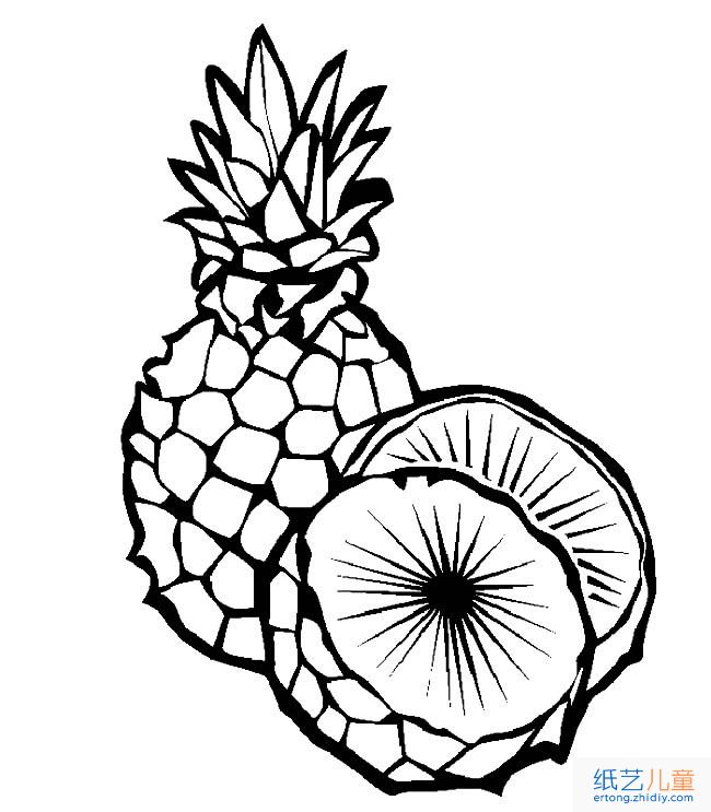 菠萝水果简笔画步骤图片大全二